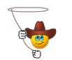 :lasso: