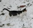 IMG-20201130-WA0069.jpg