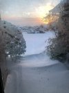 IMG_4210-2web.jpg