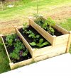 tierd-planter-box.jpg
