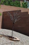 cherry tree small.jpg