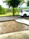 front-yard-before.jpg
