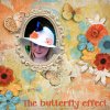The-butterfly-effect.jpg