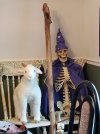 20200707_171353.jpg