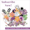sm-friendship-garden.jpg