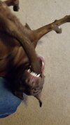 Resized_20210507_080604.jpg