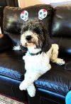 Daisy-Halloween-2-2021-resized.jpg