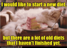 funny-cat-meme-about-diets-and-how-a-new-diet-may-not-be-as-good-as-some-older-diets.png