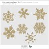 vrd-glittered-snowlflakes-02-06.jpg