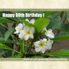 flowers for 80th birthday large file.jpg