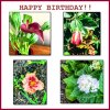 happy-birthday-to-Chris-Mom.jpg
