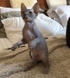 thumbnail_IMG_5173.jpg