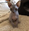 thumbnail_IMG_5162.jpg