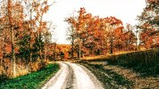 IMG_8959 (5).jpg