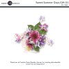 ks-sweet-summer-days-gift-600.jpg