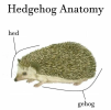 1659321917269.png