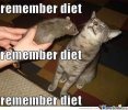 remember-diet.jpg