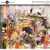 ks-harvest-sunset-II-kit-600pv.jpg