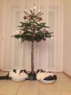 Kale-Kerstboom.jpg