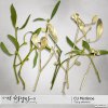 etd_CU_Mistletoes-p.jpg