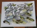orchid-drawing-2023-foto-1_sm.JPG