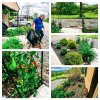 garden-collage-500.jpg