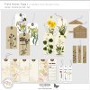 vicki-robinson-field-notes-tags-preview.jpg