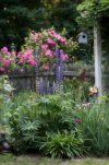 IMG_3730ffffsmallfile.jpg