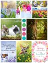 SpringMoodboard-Oscraps.jpg