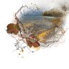 ch 1 lake leaves pam p.jpg