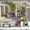 ART-DiscNatTresures-Elements-600.jpg