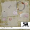 ART-DiscNatTresures-Vellum-600.jpg
