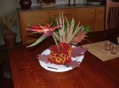 IMG_2755.jpeg