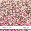 SD-Sweetness-alpha.jpg