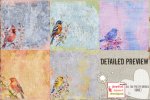 jhd-alltheprettybirdies1-details1.jpg