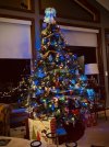 IMG_3468.jpeg