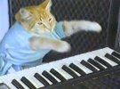 bc74e23b3a3a9200cb21eebef1a3af04--keyboard-search.jpg