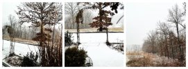 first-snow.jpg