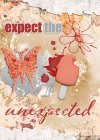 expectunexpected-atc1300.jpg