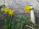 lente-1.jpg
