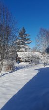 20240317_091129.jpg