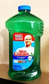 mr-clean.jpg