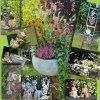 Gardenfriends.jpg