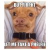 1ff96781f1ecd57255fb9282c90bf151--tuna-dog-tuna-the-dog-meme-2289588727.jpg