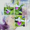 jeannemn_ladyslipper-june challenge #4-page sketch.jpg