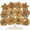AWhimAdv-CU-FlowersNo23-RUB.jpg