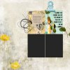 May-2025-Oscraps-AJ-ALL.jpg