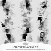 AWhimAdv-CU-OverlaysNo25-OI2-PV1.jpg