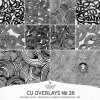 AWhimAdv-CU-OverlaysNo26-ML-PV1.jpg