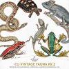 AWhimAdv-CU-VintageFaunaNo2-RA.jpg AWhimAdv-CU-VintageFaunaNo2-RA.jpg